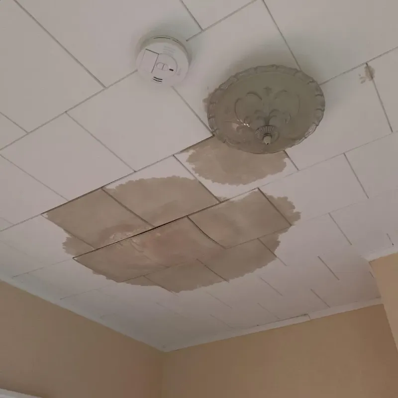 Ceiling Water Damage Repair in Mackinaw, IL