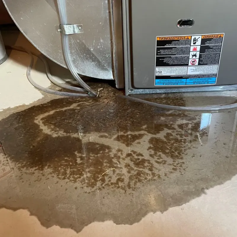 Pipe Burst and Leak Restoration in Mackinaw, IL