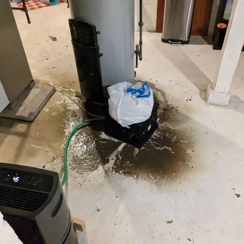 Sewage Backup Cleanup Service in Mackinaw, IL